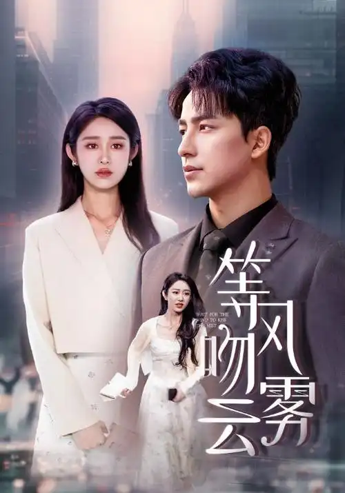 云上归途 都市情感剧全集
